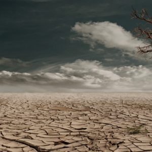 Praying in a Parched Land – Psalm 63