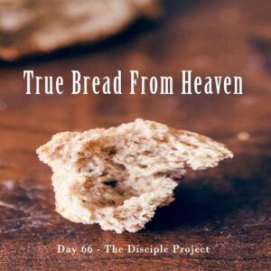 The Only Bread From Heaven – John 6:16-34