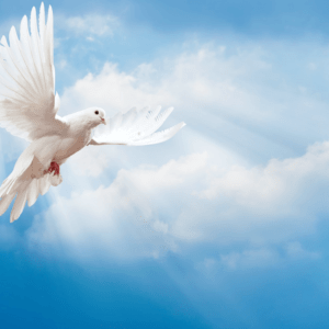 Experience of the Holy Spirit – Acts 2:1-13